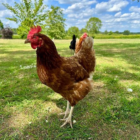 Charming Hen Cottage Countryside Retreat Lincoln Newball 外观 照片
